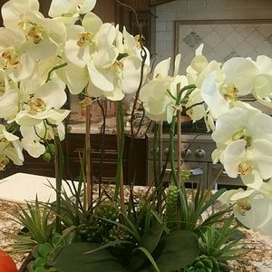 Meet your Posher, Marcia